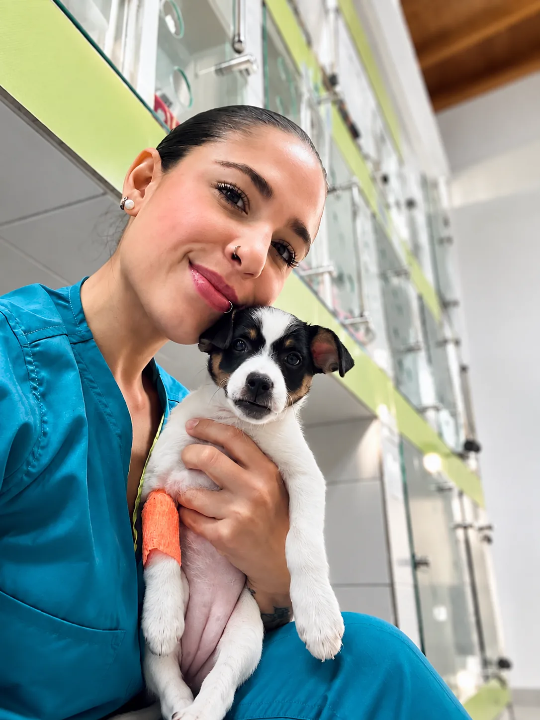 Profesional veterinaria atendiendo a un cachorro en CIMEVET
