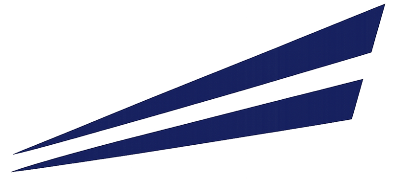 Castro & Nguyen CPAs Logo