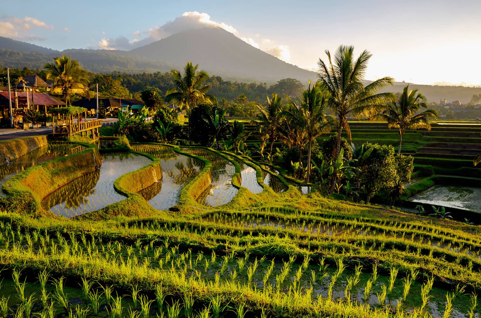 Jatiluwih UNESCO rice terraces Tabanan Bali