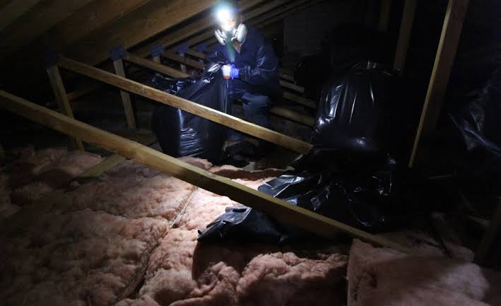 Closed Cell Spray Foam vs Other Insulation Below Grade