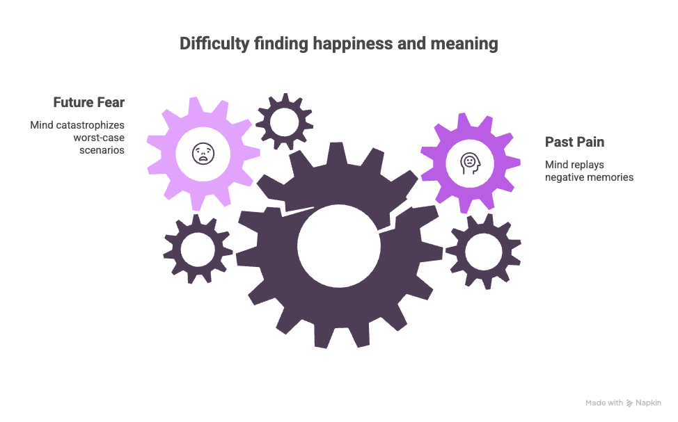 happiness versus satisfaction