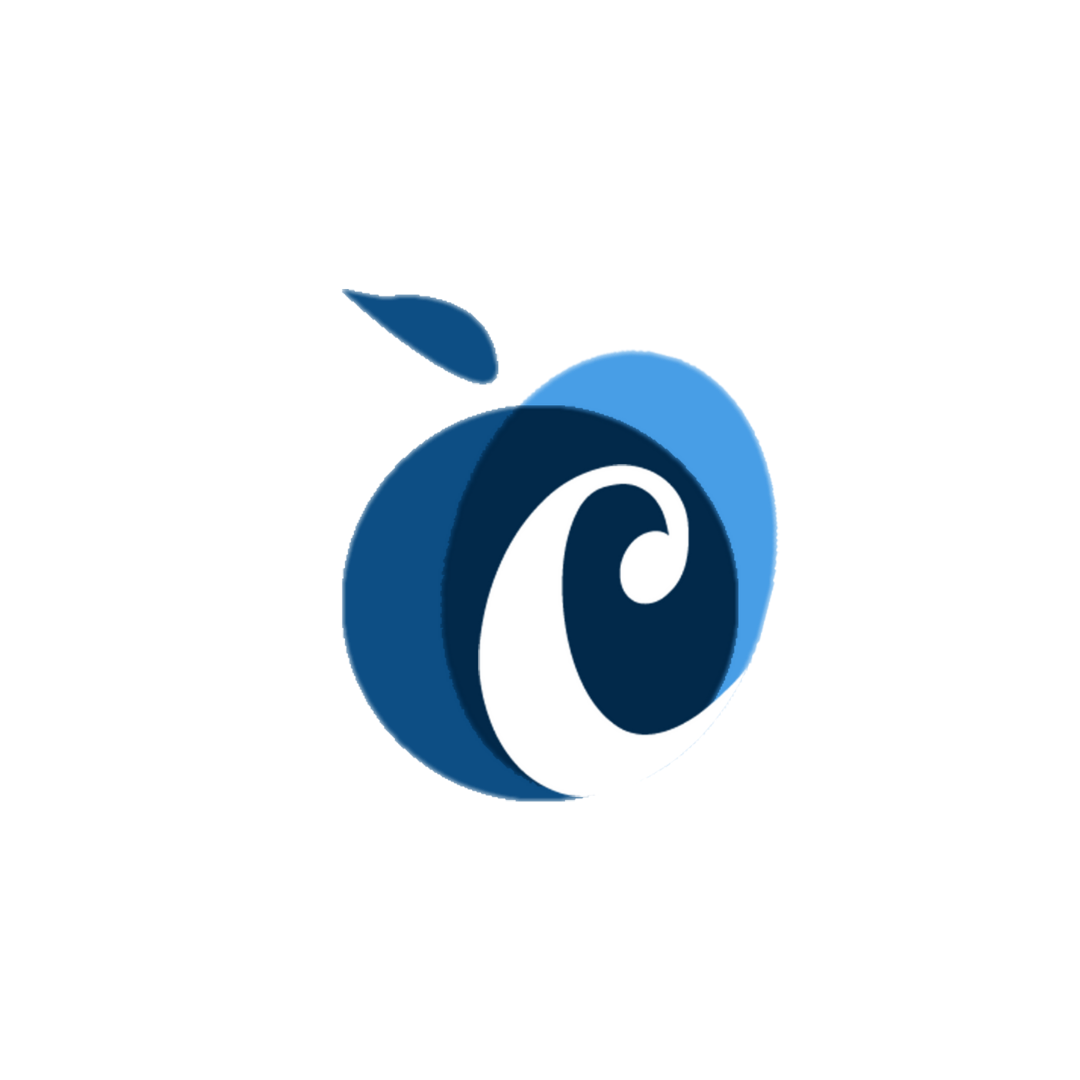 USD 413 Foundation Logo