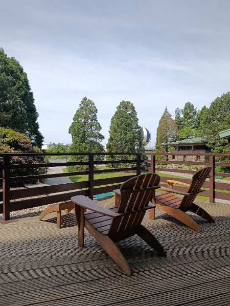 Relajarse en DH-Disney Sequoia Lodge