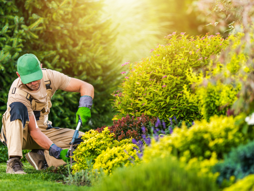 Chadds Ford Lawn Care