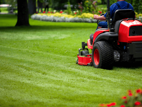 Lawn Care in Exton