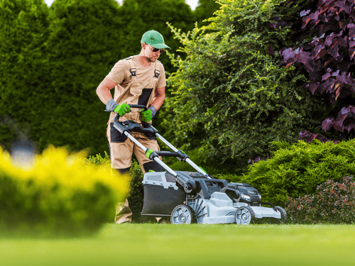 Lawn Mowing in Exton