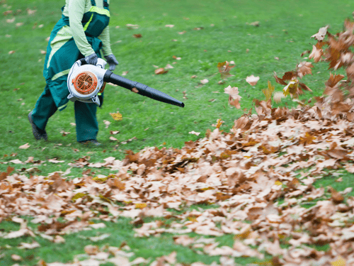 Yard Cleanup in Exton