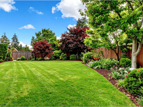 Planting Exton