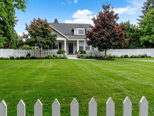 Tree Care Exton