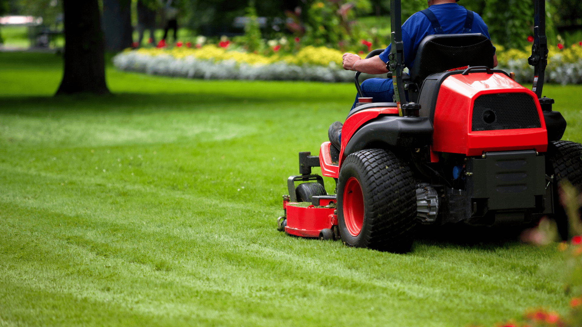Exton Lawn Care