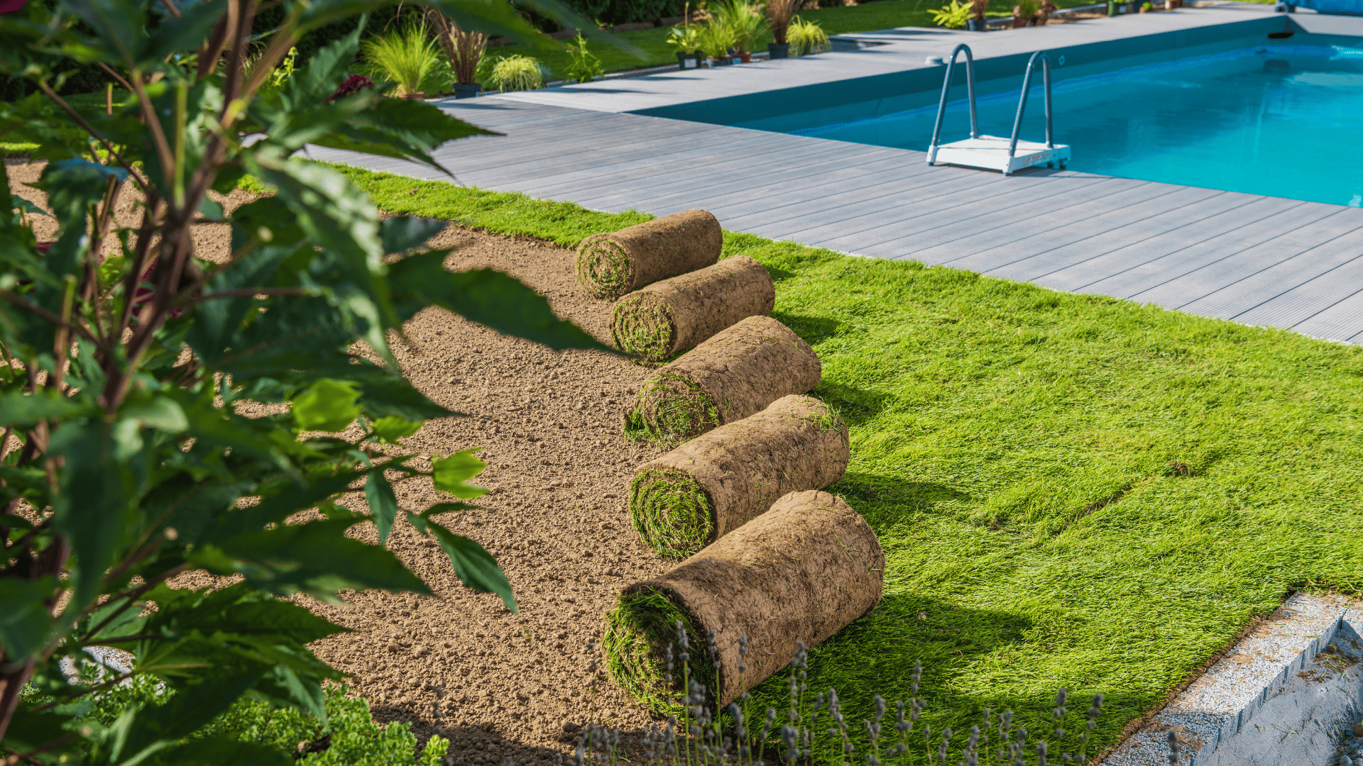 Chester Springs Landscape Design