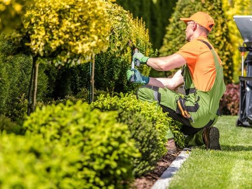 Malvern Landscape Maintenance