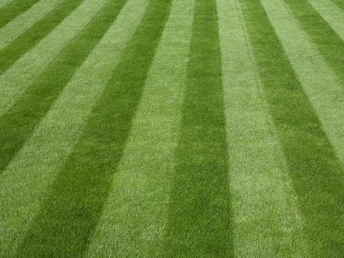 Chadds Ford Lawn Care