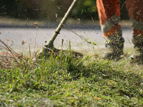 Kennett Square Landscape Maintenance