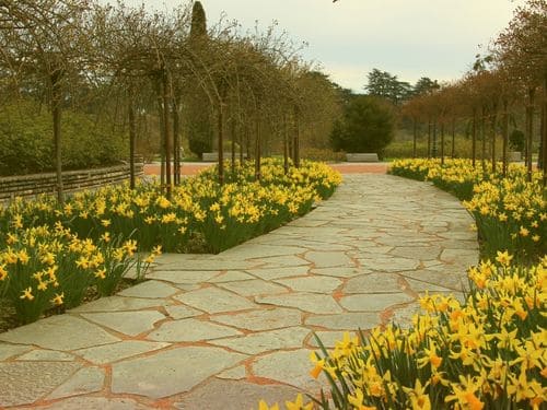 Exton Hardscaping