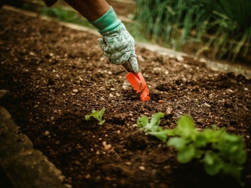 Malvern Mulching