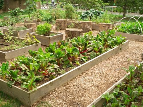 Malvern Gardening