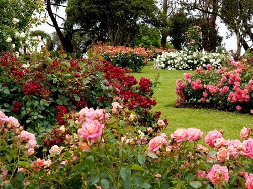 Downingtown Landscape Maintenance