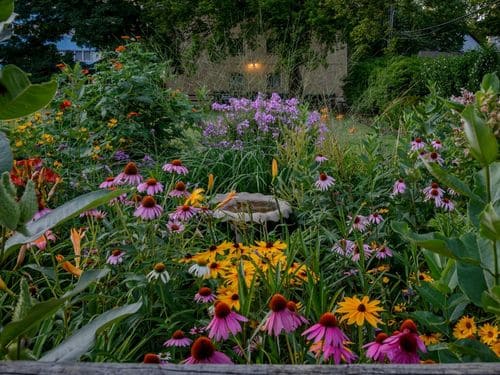 Exton Gardening