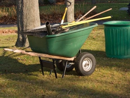Malvern Yard Cleanup