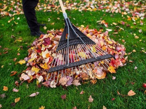 Chadds Ford Yard Cleanup