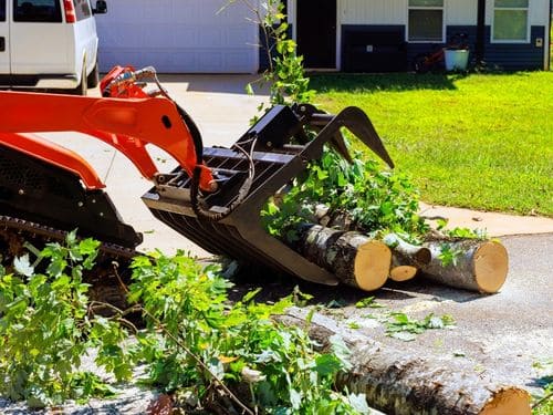 Exton Yard Cleanup