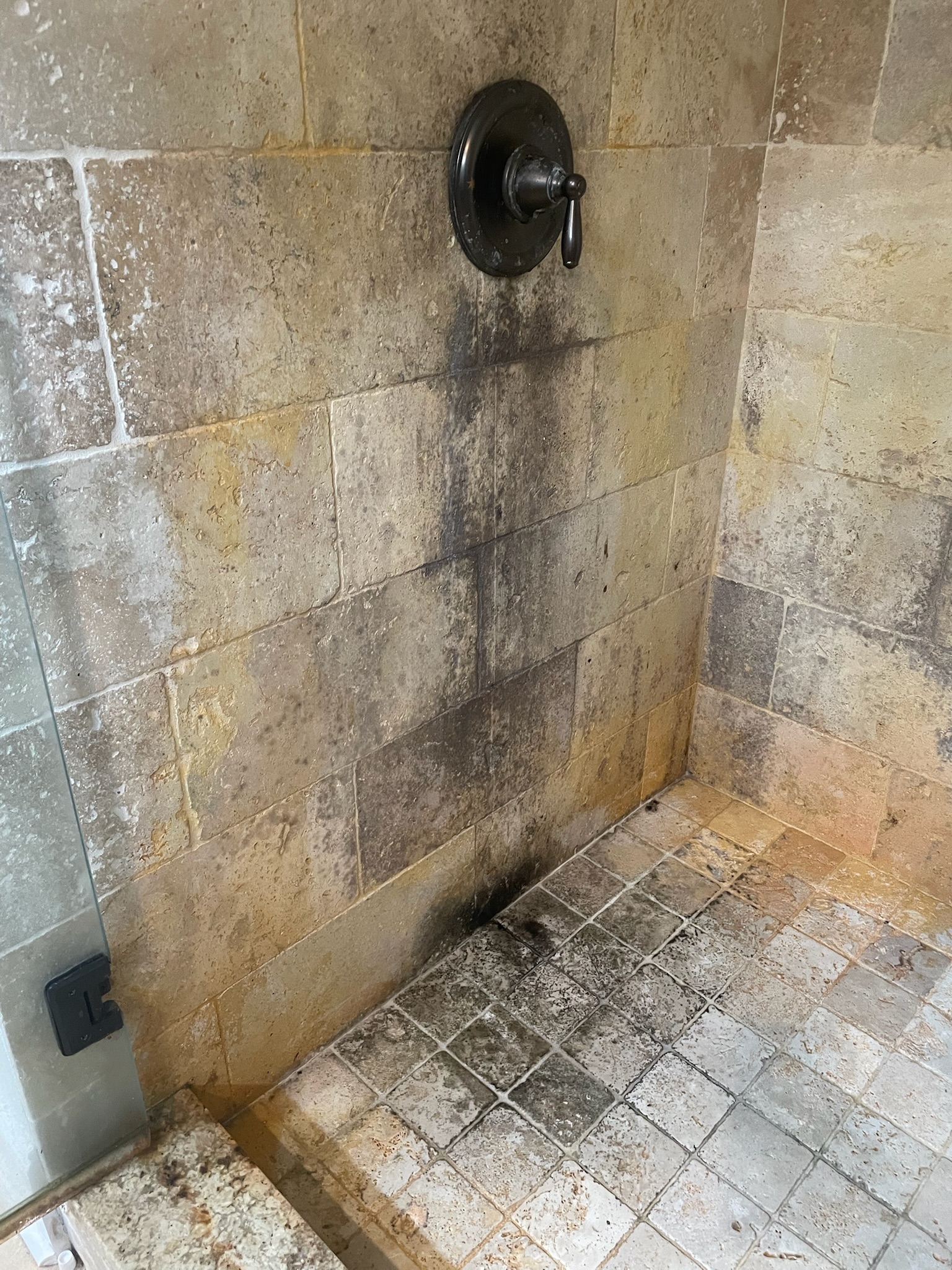Black mold covering shower grout and tile before restoration