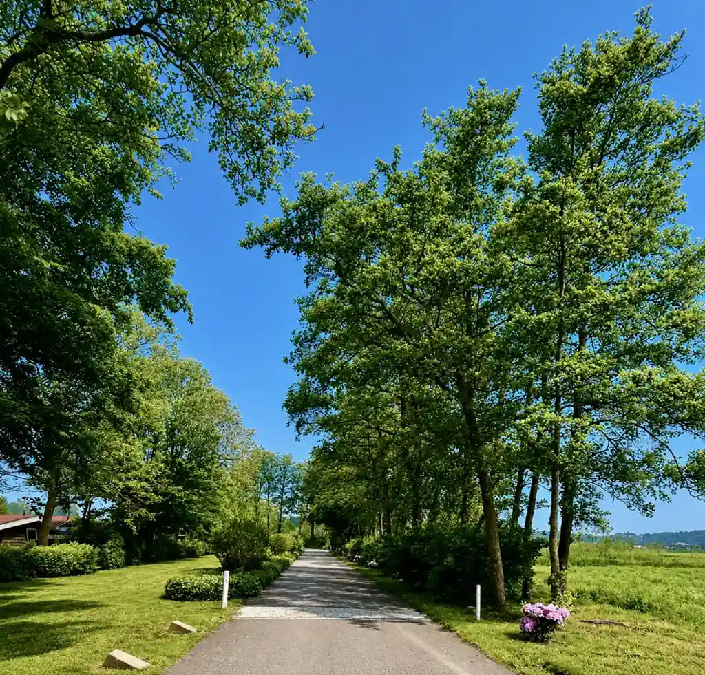 Groene omgeving van Vijfhuizen