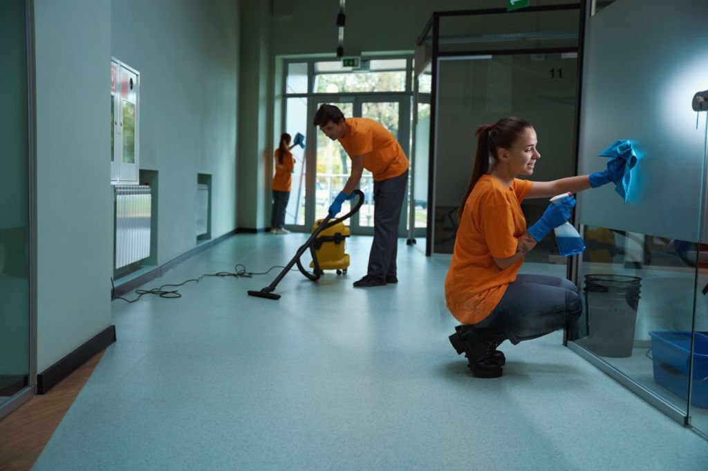 Cleaning Professionals Cleaning Professionals