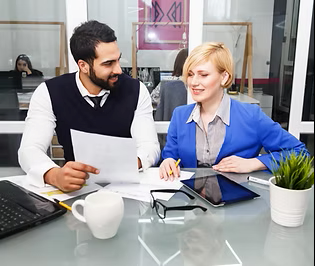 Tax Software and audit services in USA