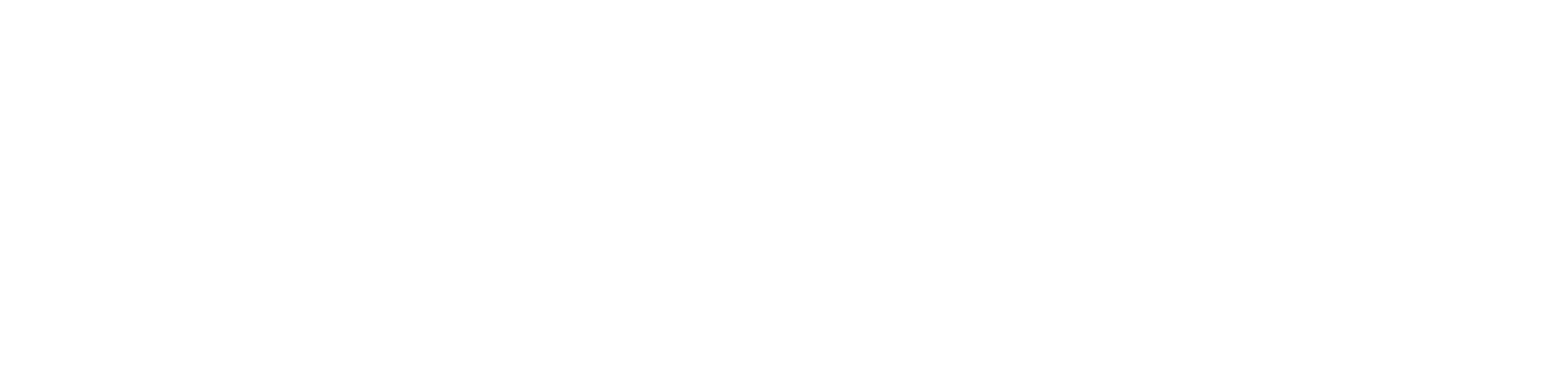 Tax Ninja 360