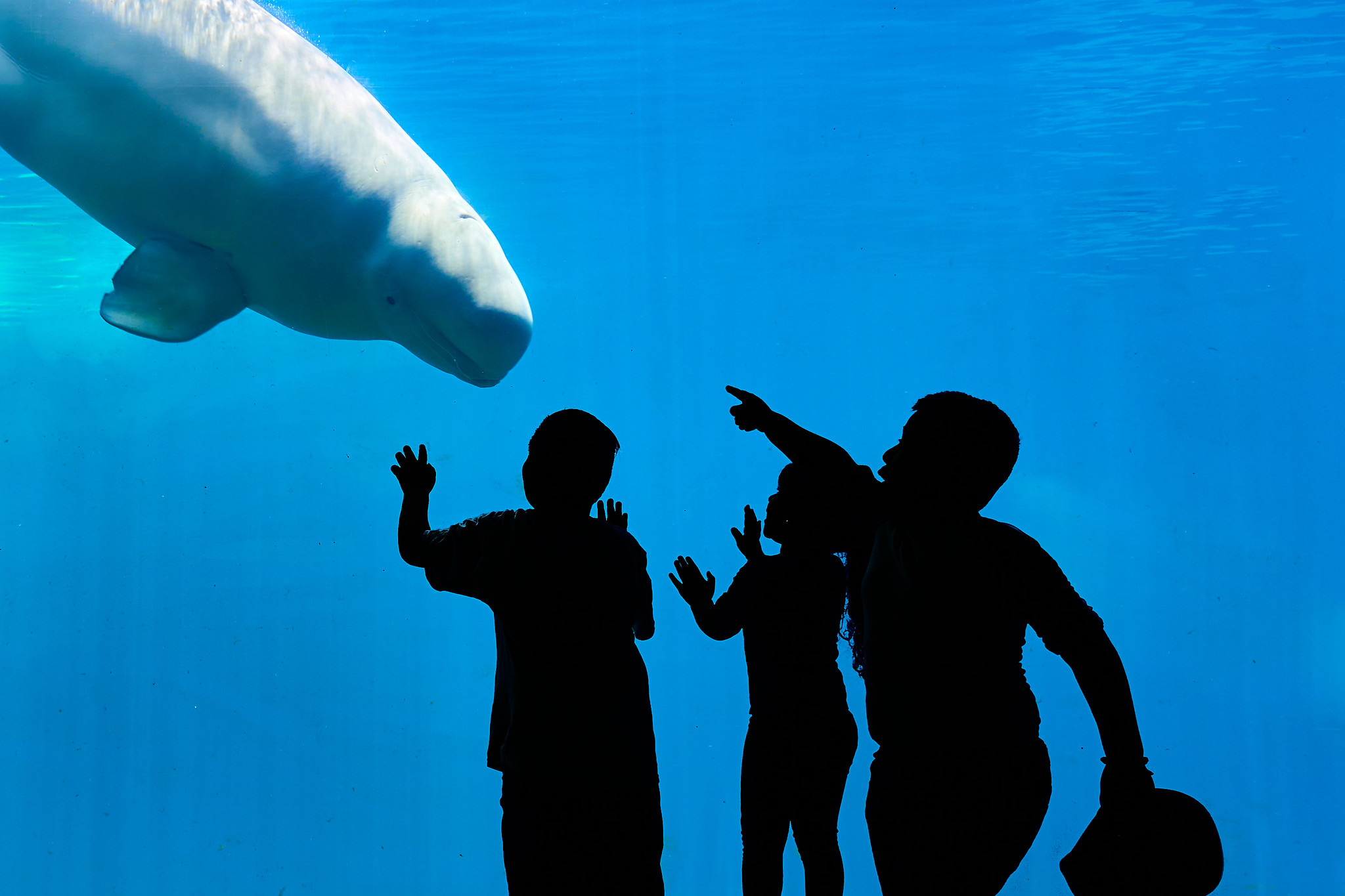 Capture your kids in the moment they have the joy of discovery and treasure that moment forever.