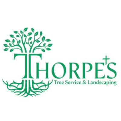 Tree Service & Landscaping in Albemarle Central VA