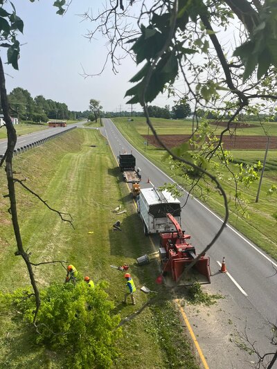 {{ custom_values.service_2 }} in {{custom_values.area_3})