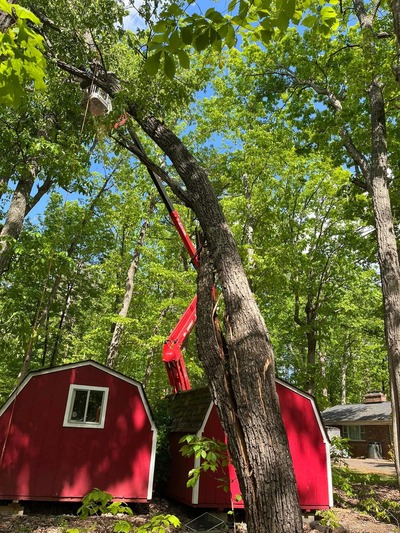  in Albemarle Central VA