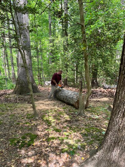  in Albemarle Central VA