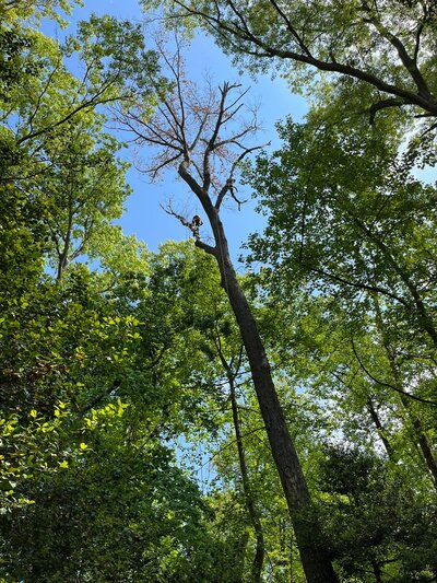  in Caroline Central VA