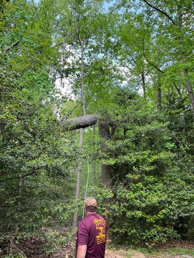 {{ custom_values.service_1 }} in {{custom_values.area_3})