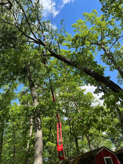  in Caroline Central VA