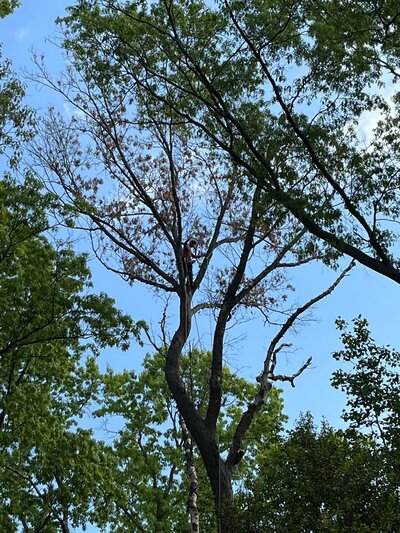  in Albemarle Central VA