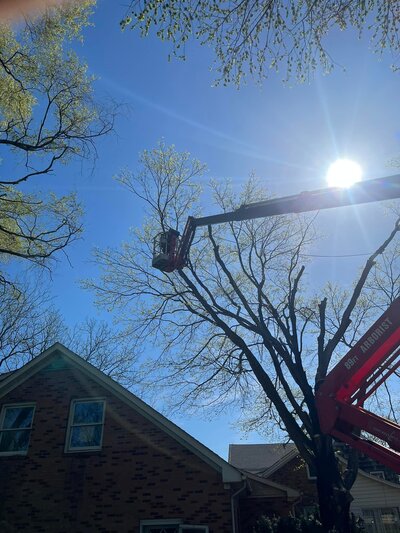 {{ custom_values.service_3 }} in {{custom_values.area_3})