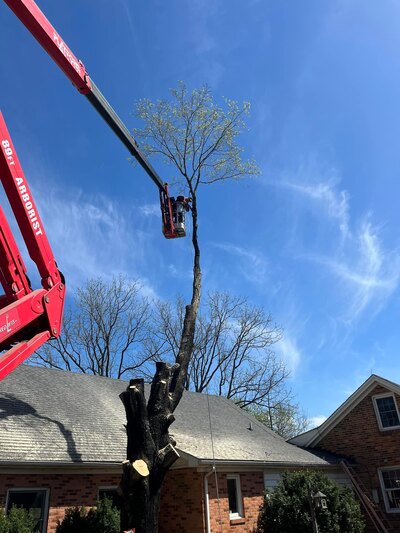 {{ custom_values.service_4 }} in {{custom_values.area_3})