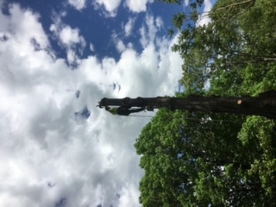 {{ custom_values.service_3 }} in {{custom_values.area_3})