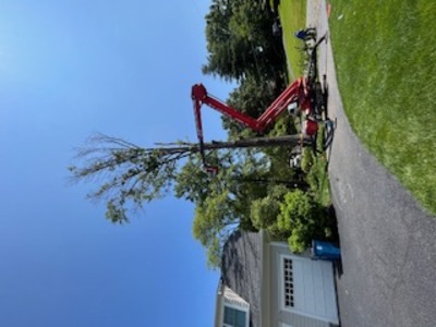 {{ custom_values.service_4 }} in {{custom_values.area_3})