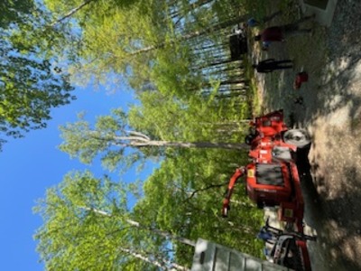 {{ custom_values.service_3 }} in {{custom_values.area_3})