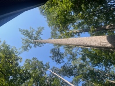 {{ custom_values.service_3 }} in {{custom_values.area_3})