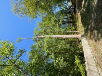 {{ custom_values.service_1 }} in {{custom_values.area_3})