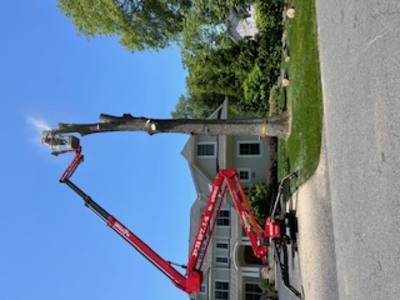 {{ custom_values.service_2 }} in {{custom_values.area_3})