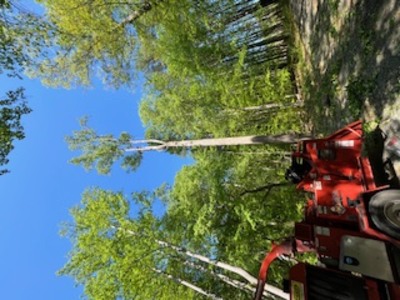 {{ custom_values.service_2 }} in {{custom_values.area_3})