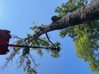 {{ custom_values.service_2 }} in {{custom_values.area_3})